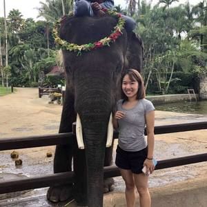 Meet your Posher, Patty